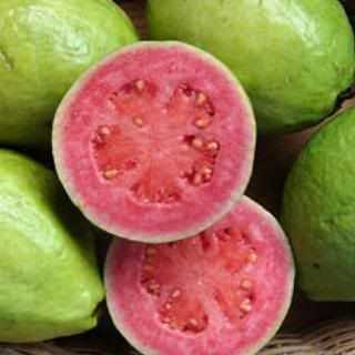 red belly guava