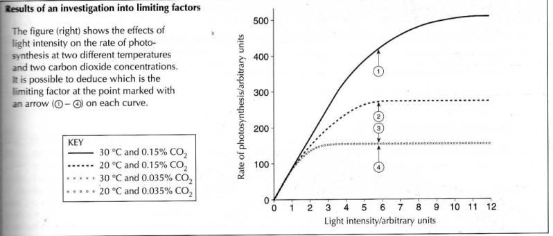 Limiting Factor in Photosynthesis