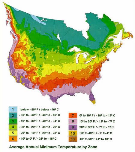 see on the temperature map