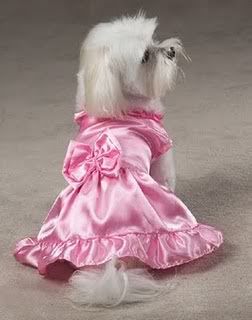 dog_pink_wedding_dress1.jpg