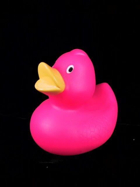 pink_sweetie_duck.jpg
