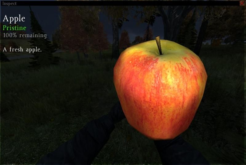 DayZ_apple_zps801d3005.jpg