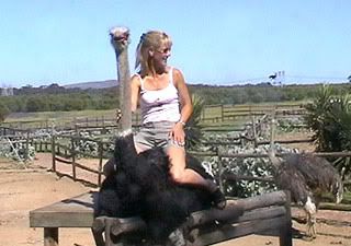 glry_riding_african_ostrich.jpg?t=1278465952