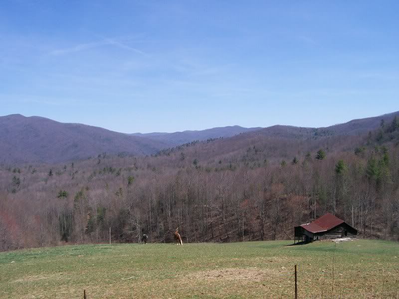 100_3763.jpg