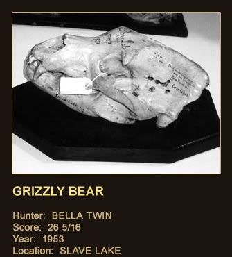 rifle-grizzly-bear.jpg