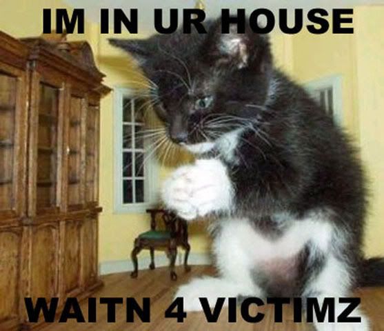 Homeowner associations are run by cats - Homesteading Questions