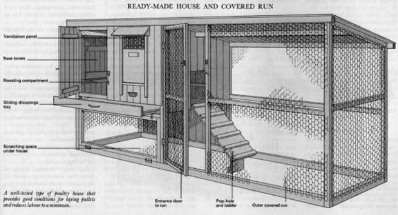 Quick and easy chicken coop - Homesteading Today