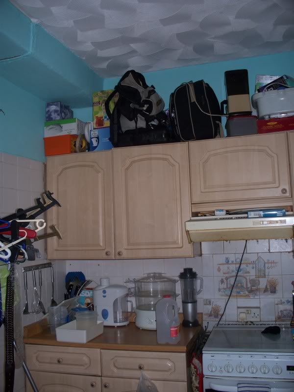 100_1367.jpg