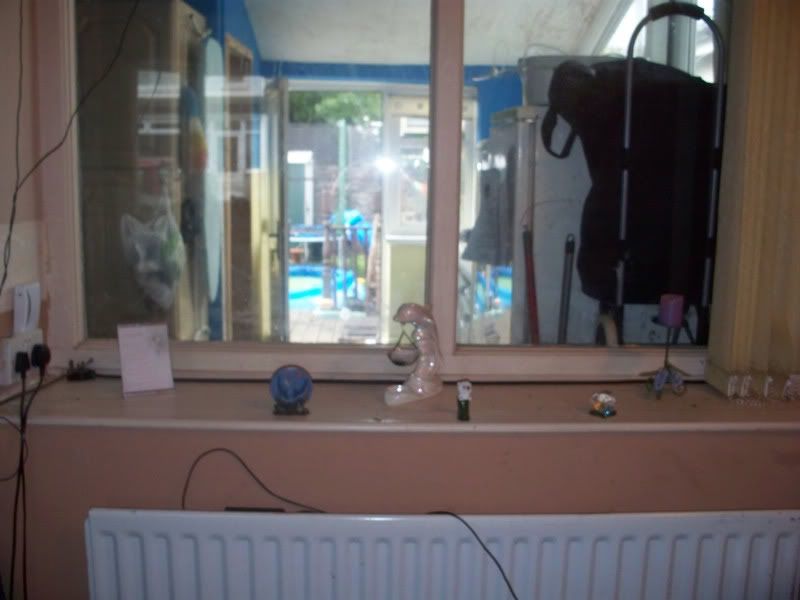 100_1397.jpg