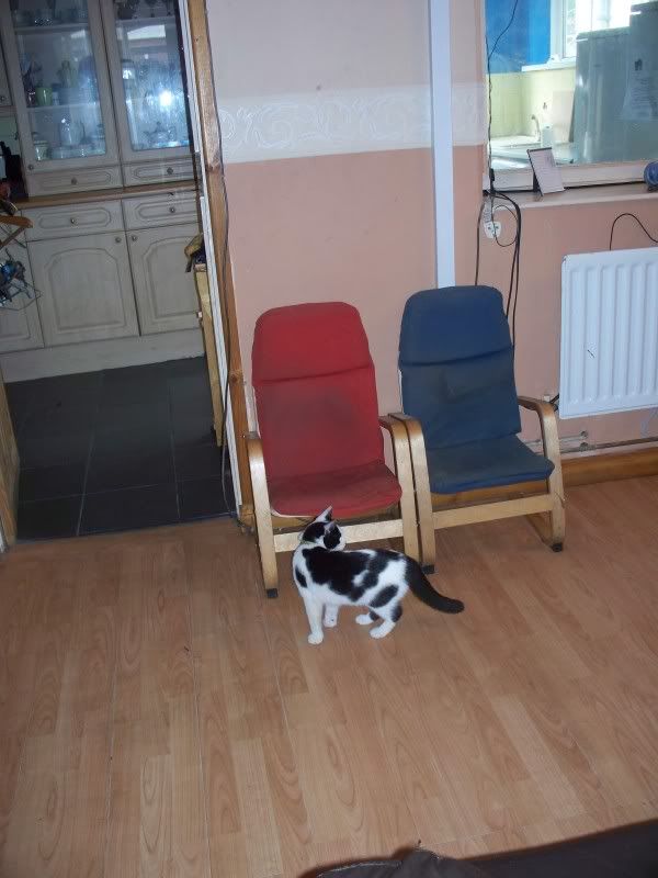 100_1400.jpg