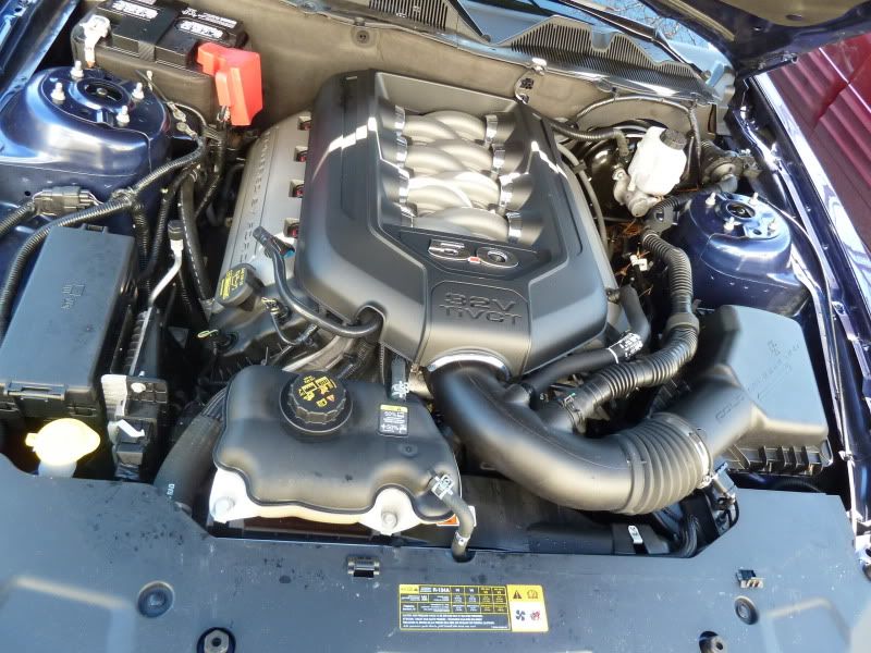 P1020150.jpg