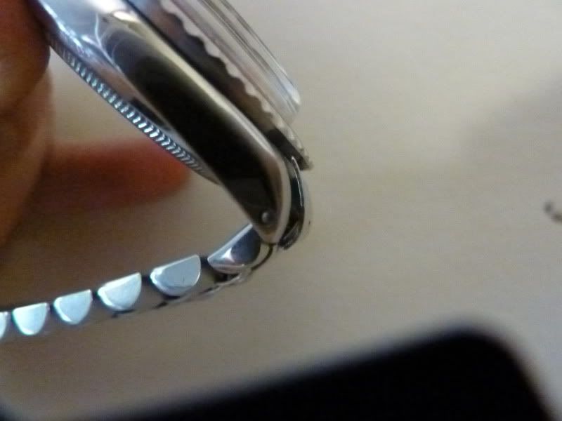 P1020063.jpg