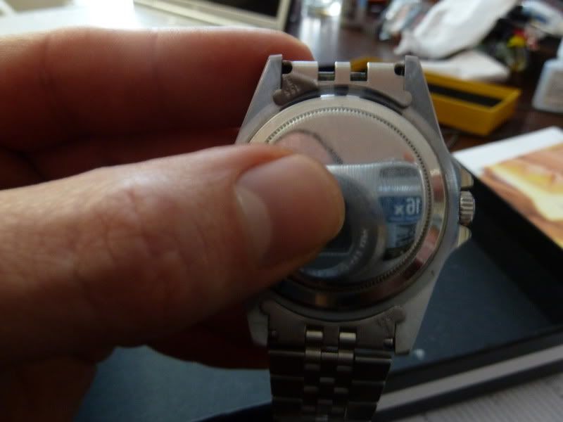 P1020091.jpg