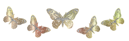 dividergoldenbutterflies2vu9