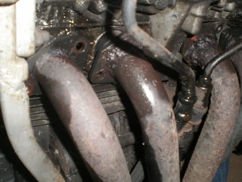 Picture011a.jpg