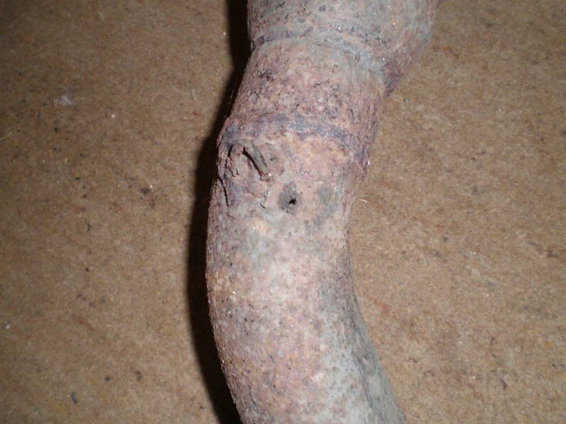 Picture015a.jpg
