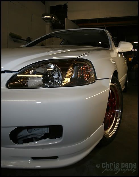 IMAGE: http://i83.photobucket.com/albums/j289/dewydang/IMG_1559copy.jpg