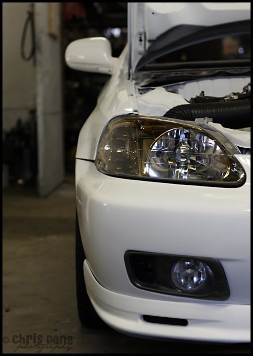 IMAGE: http://i83.photobucket.com/albums/j289/dewydang/IMG_1634copy.jpg