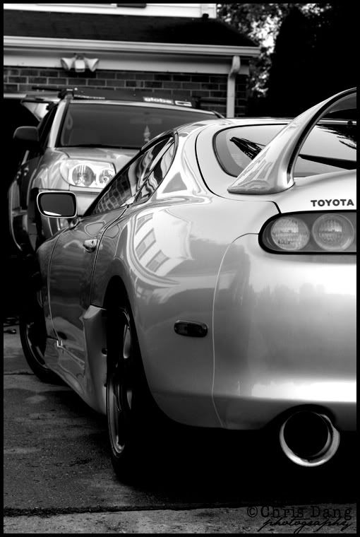 IMAGE: http://i83.photobucket.com/albums/j289/dewydang/photography/IMG_0674.jpg