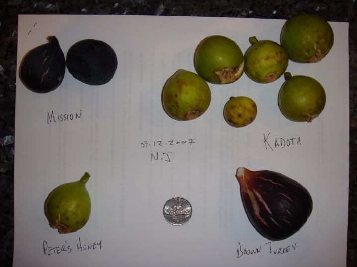 Photobucket Pictures, Images and Photos