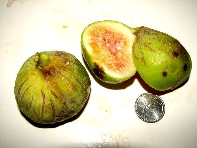 Photobucket Pictures, Images and Photos