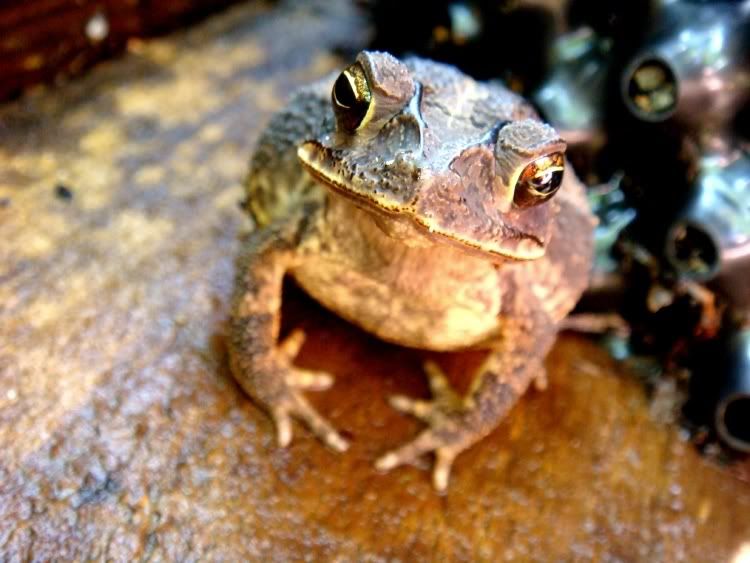 Photobucket Pictures, Images and Photos