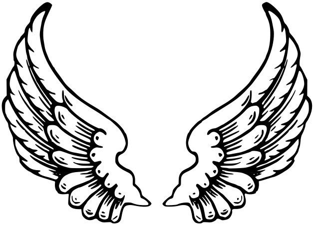 girly angel wings