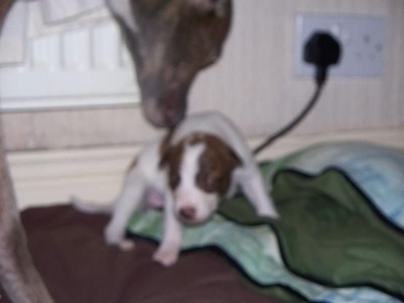 000_0348.jpg
