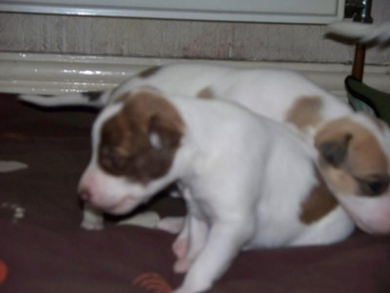 000_0350.jpg
