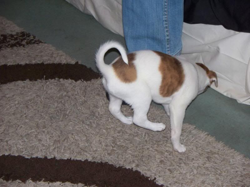 000_0427.jpg
