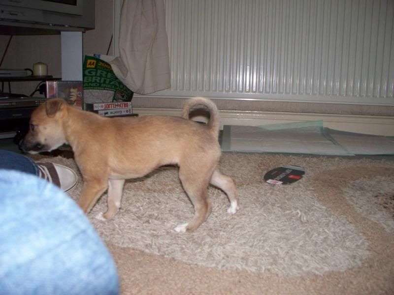 000_0444.jpg