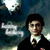 HarryHedwig.png