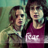 HarryHermioneFear.png