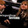 WindgardiumLeviosa2.png