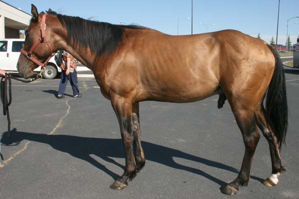 IMAGE(http://i83.photobucket.com/albums/j294/monsterpony/bay%20maybe/sunLside.jpg)