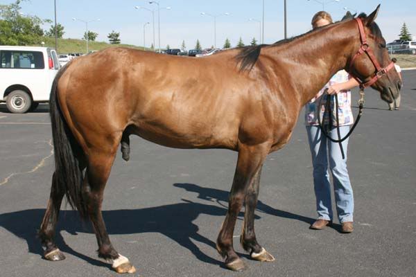 IMAGE(http://i83.photobucket.com/albums/j294/monsterpony/bay%20maybe/sunRside.jpg)