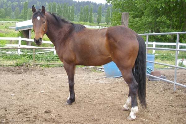 IMAGE(http://i83.photobucket.com/albums/j294/monsterpony/dudleft2.jpg)