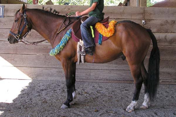 IMAGE(http://i83.photobucket.com/albums/j294/monsterpony/dudleycamp2.jpg)