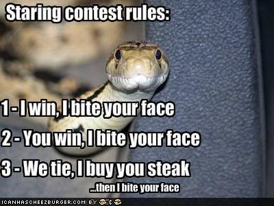 Funny Pics Of Snakes. Ok - so these SNAKES FREAKS me