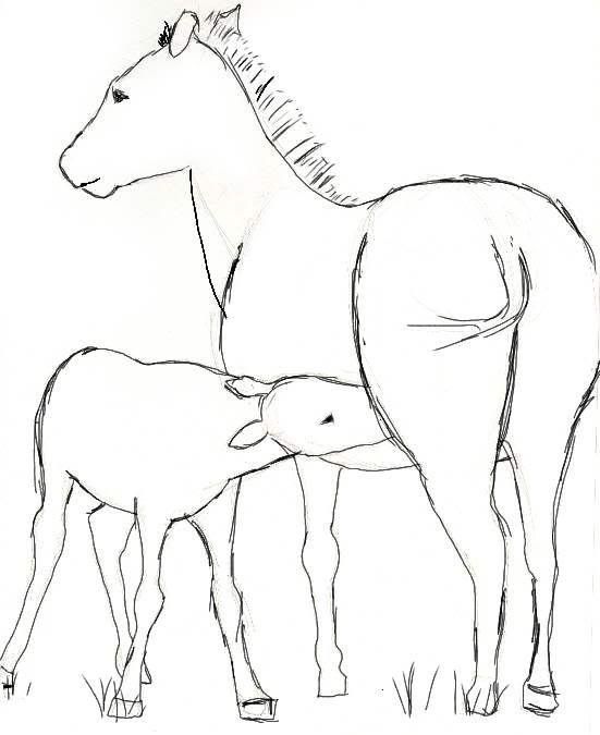 Phaytfool's Sketches Phaytfool's Sketches