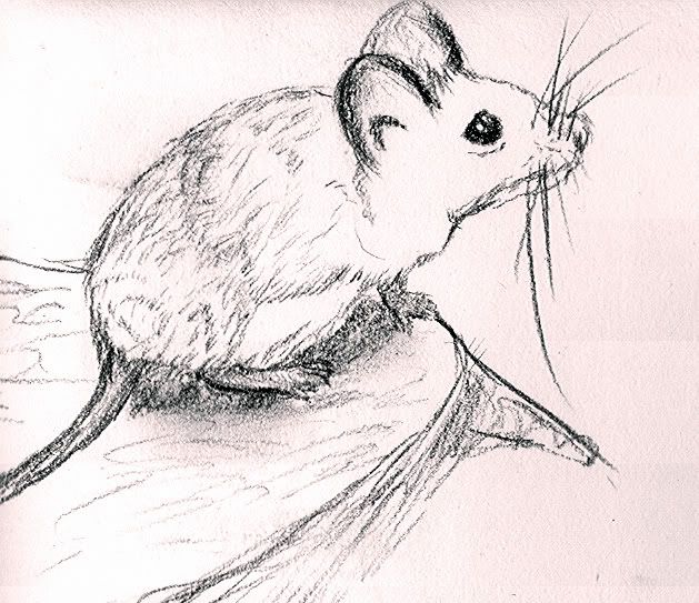 Phaytfool's Sketches Phaytfool's Sketches