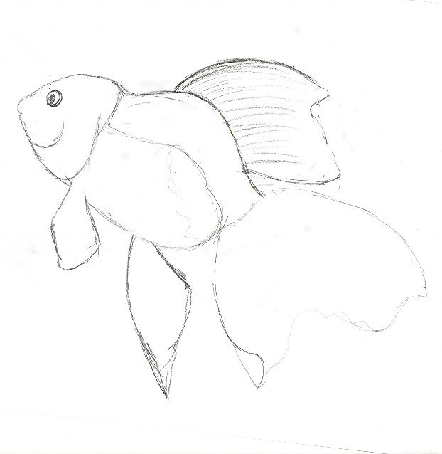Phaytfool's Sketches Phaytfool's Sketches