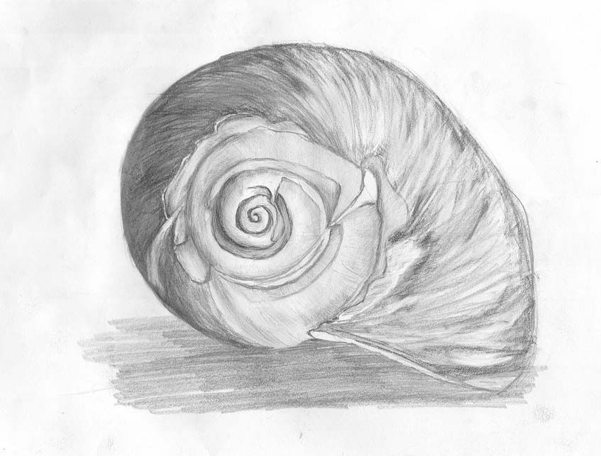 Phaytfool's Sketches Phaytfool's Sketches