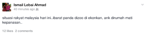  photo panda-FuWa-FengYi11_zps9c46b355.png
