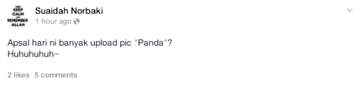  photo panda-FuWa-FengYi7_zps02fdbcfb.png