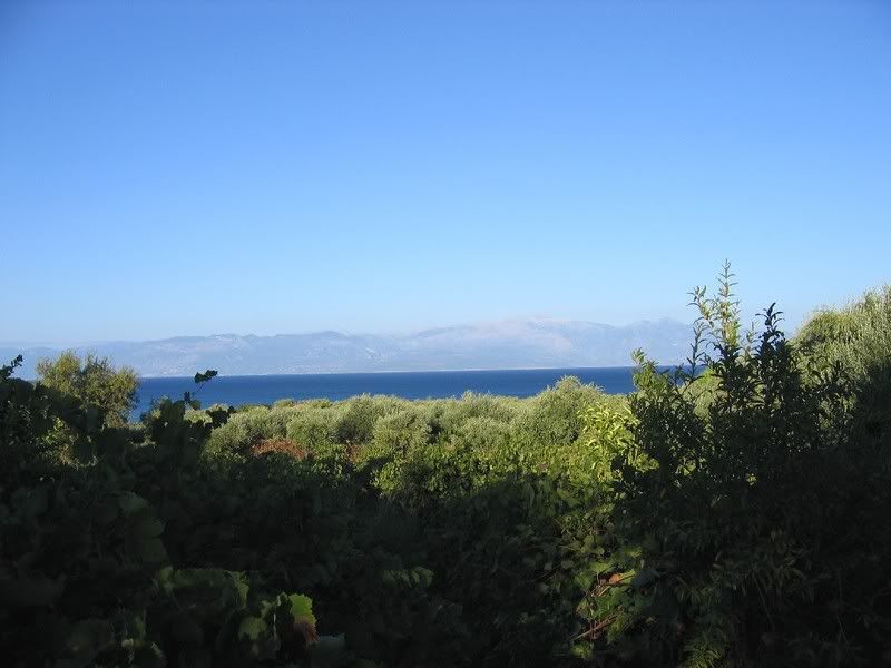 http://i83.photobucket.com/albums/j298/ellinas_arkas/apo%20topia%20dikes%20mou/24-sep-2006181.jpg