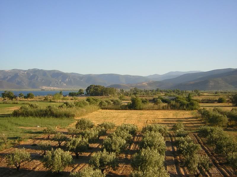 http://i83.photobucket.com/albums/j298/ellinas_arkas/apo%20topia%20dikes%20mou/neesphoto043.jpg