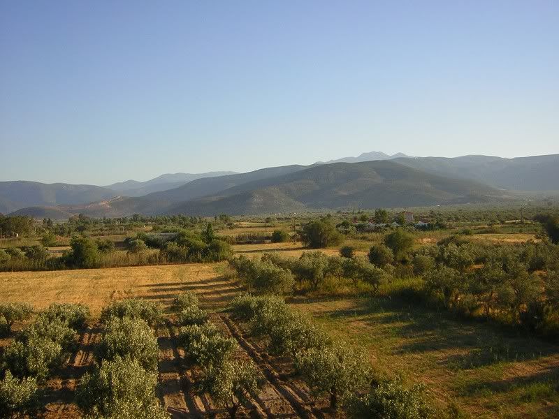 http://i83.photobucket.com/albums/j298/ellinas_arkas/apo%20topia%20dikes%20mou/neesphoto044.jpg
