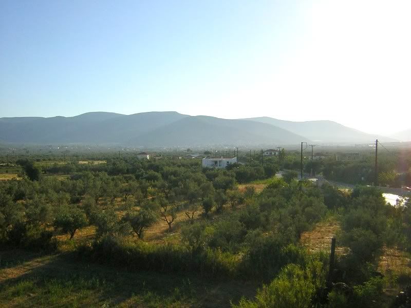 http://i83.photobucket.com/albums/j298/ellinas_arkas/apo%20topia%20dikes%20mou/neesphoto045.jpg