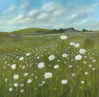 Field+of+daisies+background